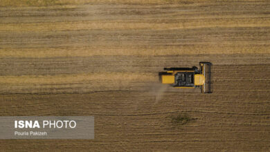 ثبت ۱۶ هزار و ۲۲۰  تخلف در اراضی از طریق سامانه زمین