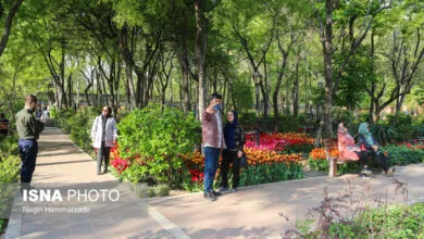 توسعه بوستانهای خانواده محور به جای پارکهای مادر و کودک در پایتخت توسعه بوستانهای خانواده محور به جای پارکهای مادر و کودک در پایتخت