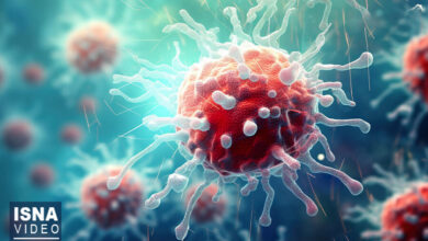 از تاریکی تا نور: روایت الهامی که سرطان را شکست داد