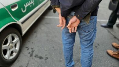 بازداشت عامل تخریب ۶ دستگاه خودرو در شاهرود