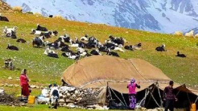 پایگاه اطلاع رسانی ایران