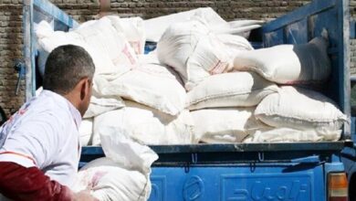 کشف باند قاچاق آرد و گندم در کرمانشاه