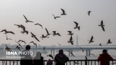 پیشبینی افزایش آلایندهها در شهرهای صنعتی خوزستان پیشبینی افزایش آلایندهها در شهرهای صنعتی خوزستان