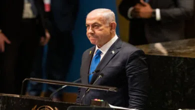 63319731.jpg