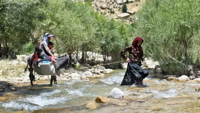 پایگاه اطلاع رسانی ایران
