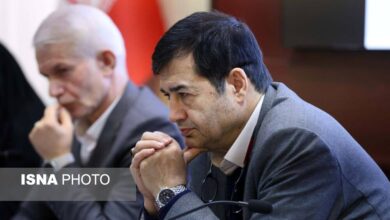 دنیامالی: آیین‌نامه حق پخش پس از تصویب در هیات وزیران به مجلس می‌رود