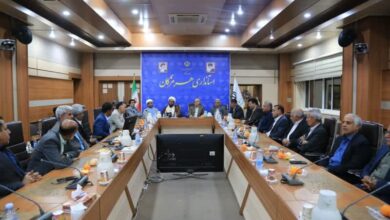 انتخاب یکی از معاونین استاندار به عنوان معین توسعه در بخش احمدی