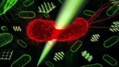 برای کشتن یک باکتری چقدر نیرو لازم است؟ برای کشتن یک باکتری چقدر نیرو لازم است؟