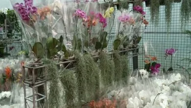 پایگاه اطلاع رسانی ایران