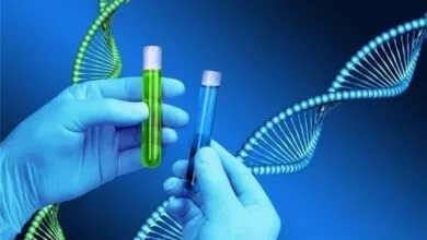 پایگاه اطلاع رسانی ایران