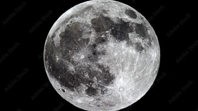 ماه نمرده است!