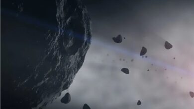 سرنخهای جدیدی از پیدایش حیات با کمک «اُسیریس-رِکس» سرنخهای جدیدی از پیدایش حیات با کمک «اُسیریس-رِکس»