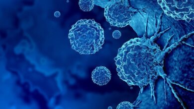 خطر ابتلا به سرطان ممکن است قبل از تولد مشخص شودخطر ابتلا به سرطان ممکن است قبل از تولد مشخص شود خطر ابتلا به سرطان ممکن است قبل از تولد مشخص شودخطر ابتلا به سرطان ممکن است قبل از تولد مشخص شود