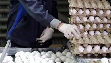 پایگاه اطلاع رسانی ایران