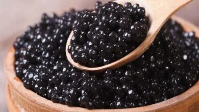 رشد ۱۱۲ درصدی صادرات خاویار پرورشی ایران رشد ۱۱۲ درصدی صادرات خاویار پرورشی ایران
