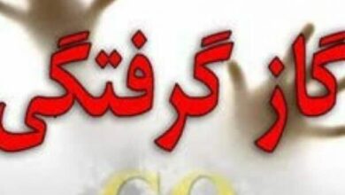 کاهش ۵۳ درصدی تلفات مسمومیت با گاز طی نه ماه امسال/ هشدار در خصوص نیمه سرد سال کاهش ۵۳ درصدی تلفات مسمومیت با گاز طی نه ماه امسال/ هشدار در خصوص نیمه سرد سال