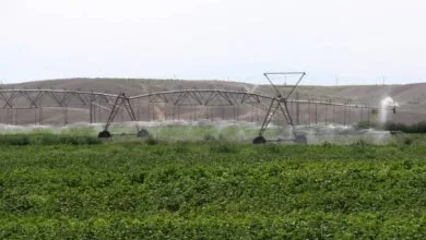 پایگاه اطلاع رسانی ایران