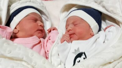 خوزستان چه تعداد خانواده دارای چند قلو دارد؟