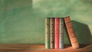 تردید عده‌ای در تأثیرگذاری «فلسفه اسلامی» به خاطر فعلیت آن است نه قابلیت