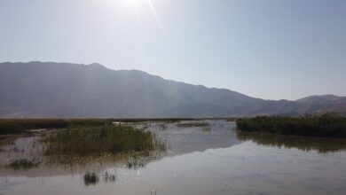 تالاب گندمان به عنوان بیست و هفتمین تالاب کشور در کنوانسیون رامسر ثبت شد