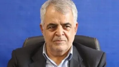 4563534.jpg