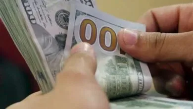 4865470.jpg