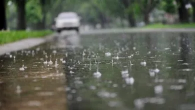 پایگاه اطلاع رسانی ایران