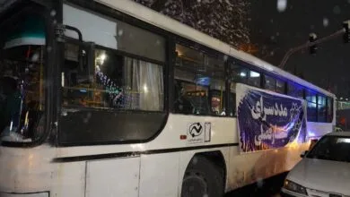 5084747.jpg