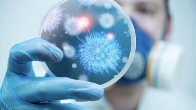 ویروس‌ها ارتعاشات صوتی دارند | کشف روشی نوین برای شناسایی ویروس