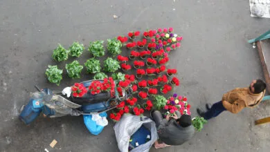 5133925.jpg