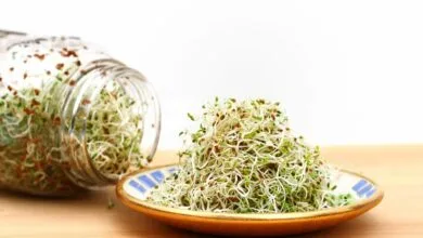 پایگاه اطلاع رسانی ایران