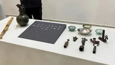5134718.jpg