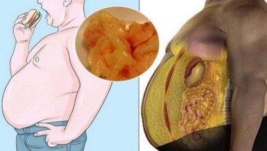 ۷ ماده غذایی برای کاهش چربی شکمی