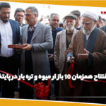 افتتاح همزمان 10 باز ار میوه و تره بار در پایتخت