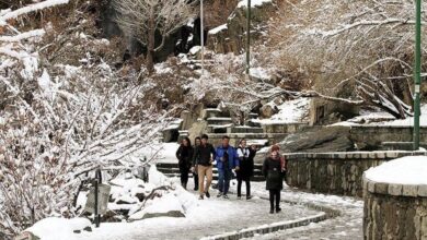 زیبایی‌های بارش برف در گنجنامه همدان + فیلم ؛ آبشار یخ و برف و آب!
