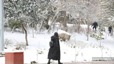پایگاه اطلاع رسانی ایران