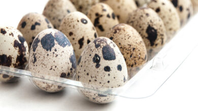 تخم بلدرچین چه خاصیتی دارد ؟ | ویتامین های تخم بلدرچین را بشناسید تخم بلدرچین چه خاصیتی دارد ؟ | ویتامین های تخم بلدرچین را بشناسید