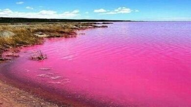 چرا رنگ آب در مکان‌های گوناگون متفاوت است؟