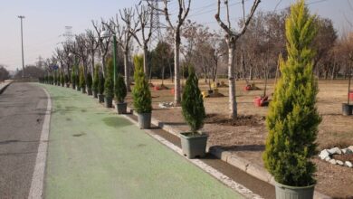 بوستان آزادگان در جنوب تهران احیا شد بوستان آزادگان در جنوب تهران احیا شد