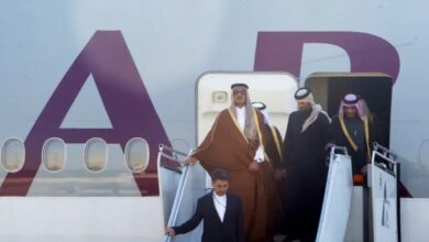 تصاویر استقبال وزیر نیرو از امیر قطر در فرودگاه مهرآباد