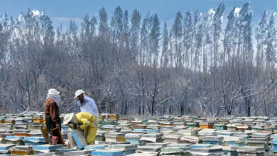پایگاه اطلاع رسانی ایران