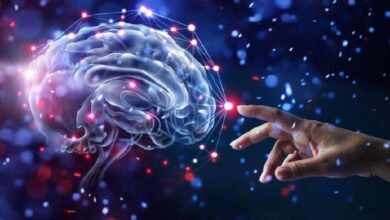 مروری بر تاثیرات اجلاس هوش مصنوعی پاریس؛ گامی رو به عقب برای ایمنی فناوری