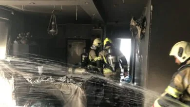 5270328.jpg