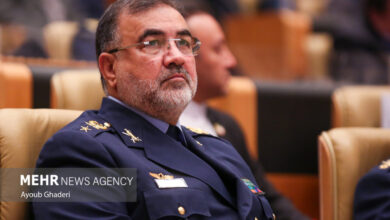امیر واحدی: نیروی هوایی ارتش روی پای خودش ایستاده است