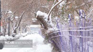 هواشناسی خراسان رضوی هشدار زرد صادر کرد