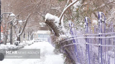پایگاه اطلاع رسانی ایران