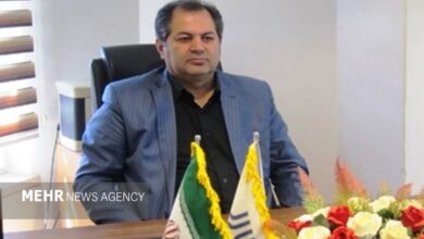 برگزاری نخستین مدرسه زمستانی سکته مغزی در اهواز