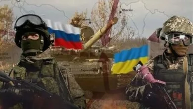 5296489.jpg