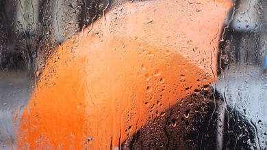 هشدار دریایی سطح نارنجی در استان بوشهر