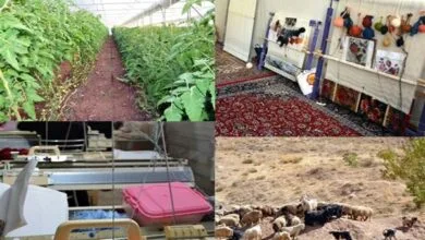 پایگاه اطلاع رسانی ایران